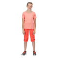 Neon Peach-Fusion Coral - Back - Regatta Childrens-Kids Sorcer V Mountain Trousers