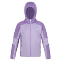 Pastel Lilac-Light Amethyst - Front - Regatta Childrens-Kids Dissolver V Full Zip Fleece Jacket