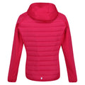 Pink Potion - Back - Regatta Womens-Ladies Andreson VII Hybrid Jacket
