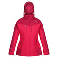 Pink Potion-Berry Pink - Front - Regatta Womens-Ladies Calderdale Winter Waterproof Jacket