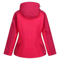 Pink Potion-Berry Pink - Back - Regatta Womens-Ladies Calderdale Winter Waterproof Jacket
