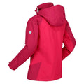 Pink Potion-Berry Pink - Lifestyle - Regatta Womens-Ladies Calderdale Winter Waterproof Jacket