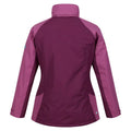 Amaranth Haze-Violet - Back - Regatta Womens-Ladies Calderdale Winter Waterproof Jacket