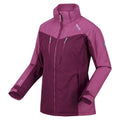 Amaranth Haze-Violet - Side - Regatta Womens-Ladies Calderdale Winter Waterproof Jacket
