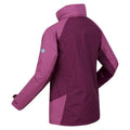 Amaranth Haze-Violet - Lifestyle - Regatta Womens-Ladies Calderdale Winter Waterproof Jacket