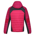 Pink Potion-Berry Pink - Back - Regatta Womens-Ladies Trutton Lightweight Padded Jacket