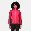 Pink Potion-Berry Pink - Lifestyle - Regatta Womens-Ladies Trutton Lightweight Padded Jacket
