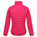 Pink Potion - Back - Regatta Womens-Ladies Clumber III Hybrid Jacket