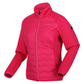 Pink Potion - Side - Regatta Womens-Ladies Clumber III Hybrid Jacket