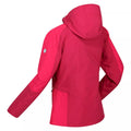 Berry Pink-Pink Potion - Lifestyle - Regatta Womens-Ladies Highton II Stretch Padded Jacket
