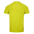 Green Algae - Back - Dare 2B Mens Accelerate Lightweight T-Shirt