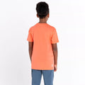 Neon Peach - Lifestyle - Dare 2B Childrens-Kids Trailblazer Graphic Print T-Shirt