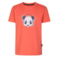 Neon Peach - Front - Dare 2B Childrens-Kids Trailblazer Graphic Print T-Shirt
