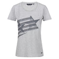 Paloma Grey - Front - Regatta Womens-Ladies Filandra VII Star Marl T-Shirt