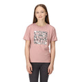 Dusky Rose - Side - Regatta Childrens-Kids Alvarado VII Zebra Print T-Shirt