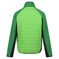 Jasmine Green-Field Green - Back - Regatta Mens Clumber IV Full Zip Hybrid Jacket