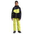 Black-Yellow Plum - Close up - Dare 2B Childrens-Kids Humour II Geo Camo Ski Jacket