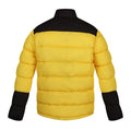 Solar-Black - Back - Regatta Mens Vintage Insulated Puffer Jacket