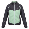 Seal Grey-Quiet Green - Front - Regatta Womens-Ladies Steren Hybrid Jacket