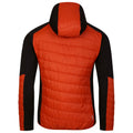 Puffins Orange-Rooibos Tea - Back - Dare 2B Mens Touring Contrast Panel Hybrid Jacket
