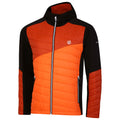 Puffins Orange-Rooibos Tea - Side - Dare 2B Mens Touring Contrast Panel Hybrid Jacket