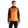 Puffins Orange-Rooibos Tea - Lifestyle - Dare 2B Mens Touring Contrast Panel Hybrid Jacket