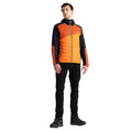 Puffins Orange-Rooibos Tea - Pack Shot - Dare 2B Mens Touring Contrast Panel Hybrid Jacket