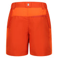 Rusty Orange-Blaze Orange - Back - Regatta Childrens-Kids Sorcer Mountain III Shorts
