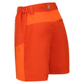 Rusty Orange-Blaze Orange - Lifestyle - Regatta Childrens-Kids Sorcer Mountain III Shorts