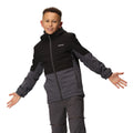 Black-Seal Grey - Lifestyle - Regatta Childrens-Kids Highton IV Padded Waterproof Jacket