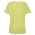 Yellow Plum - Back - Dare 2B Womens-Ladies Gravitate T-Shirt