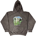 Charcoal Grey - Front - Pink Floyd Unisex Adult Atom Heart Mother Fade Pullover Hoodie