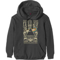 Charcoal Grey - Front - Pink Floyd Unisex Adult Carnegie Hall Poster Hoodie