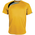 Yellow- Black- Storm Grey - Front - Kariban Proact Mens Short Sleeve Crew Neck Sports T-Shirt