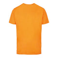 Paradise Orange - Back - Build Your Brand Mens T-Shirt Round Neck