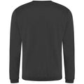 Charcoal - Back - Pro RTX Mens Pro Sweatshirt