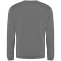 Solid Grey - Back - Pro RTX Mens Pro Sweatshirt