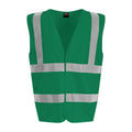 Paramedic Green - Front - PRO RTX Unisex Adult Sleeveless Hi-Vis Vest