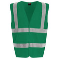 Paramedic Green-Paramedic Green - Front - PRO RTX Unisex Adult Sleeveless Hi-Vis Vest