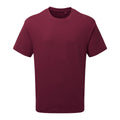 Burgundy - Front - Anthem Mens Heavyweight T-Shirt