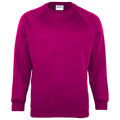 Raspberry - Front - Maddins Kids Unisex Coloursure Crew Neck Sweatshirt - Schoolwear