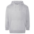 Grey - Front - Ecologie Unisex Adult Crater Recycled Hoodie