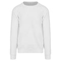 Arctic White - Front - Awdis Mens Graduate Heavyweight Sweatshirt