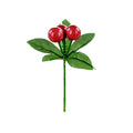 Red-Green - Front - Premier Berry Pick
