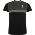 Black-Charcoal-Gold - Front - Liverpool FC Childrens-Kids Panel T-Shirt