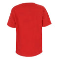 Red - Back - The Flash Boys Distressed Logo Cotton T-Shirt