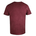 Vintage Burgundy - Back - Flash Mens Logo Washed T-Shirt