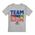 Sports Grey - Front - PJ Masks Boys Team Awesome Heather T-Shirt