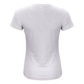 Nature Melange - Back - Clique Womens-Ladies Organic Cotton T-Shirt