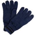 Front - Regatta Mens Winter Gloves